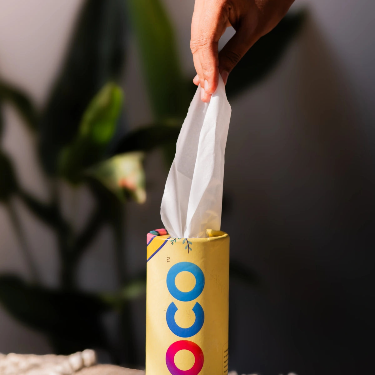 HOCO Custard Yellow Tissues